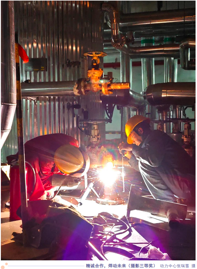 291709169689197094.png image.png